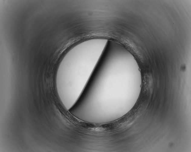 X0000100350212200806060807