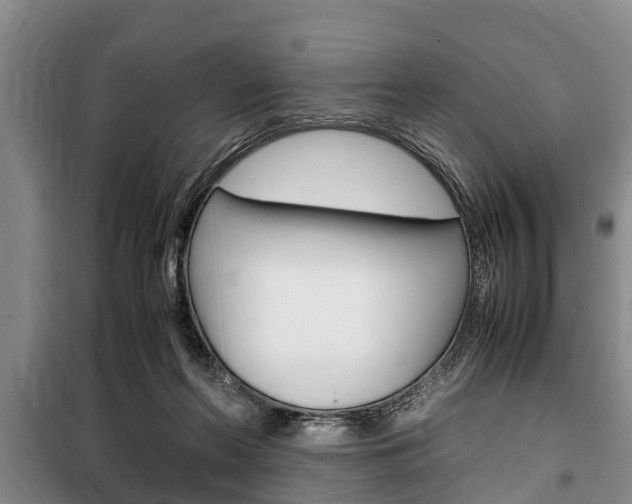 X0000100350214200806060807