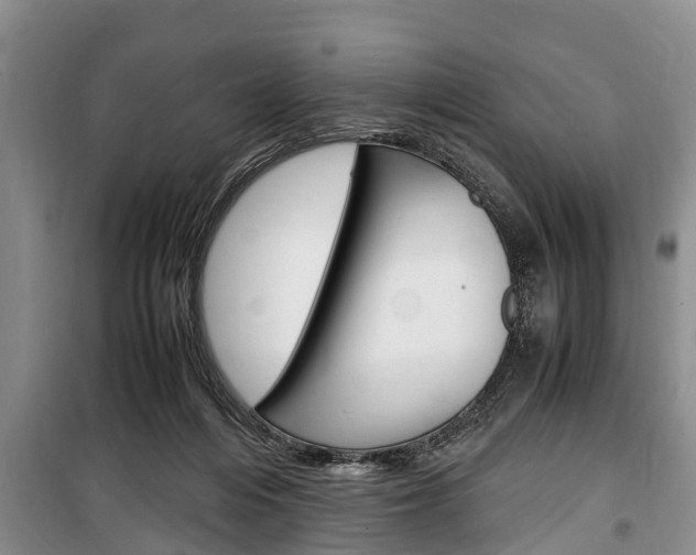X0000100350216200806060807