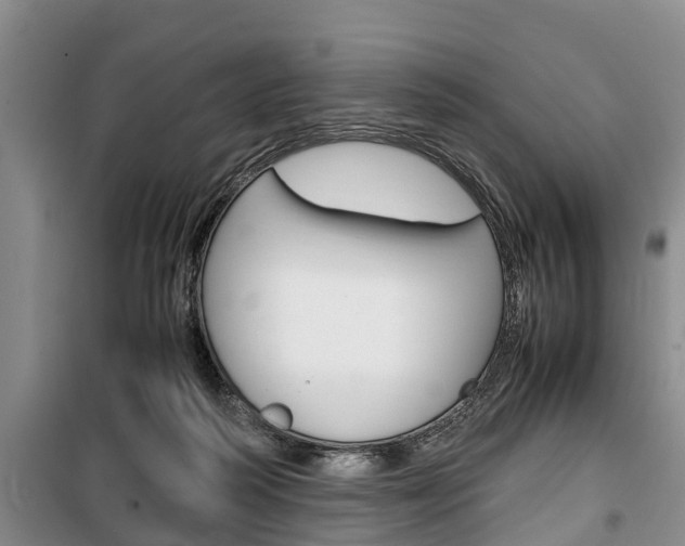 X0000100350218200806060807