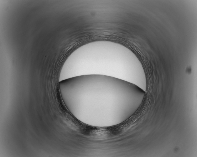 X0000100350219200806060807