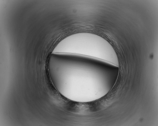 X0000100350221200806060807