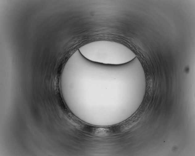X0000100350222200806060807