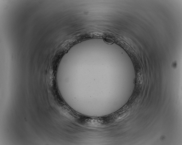 X0000100350223200806060807