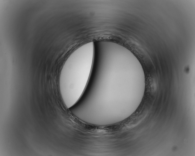 X0000100350224200806060807