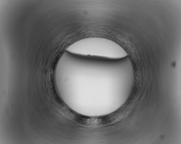 X0000100350225200806060807