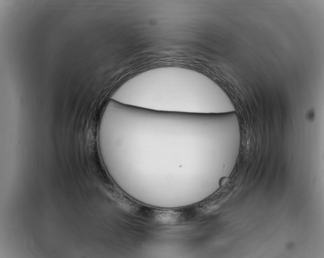 X0000100350226200806060807