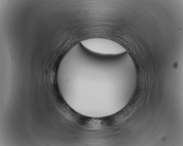 X0000100350227200806060807