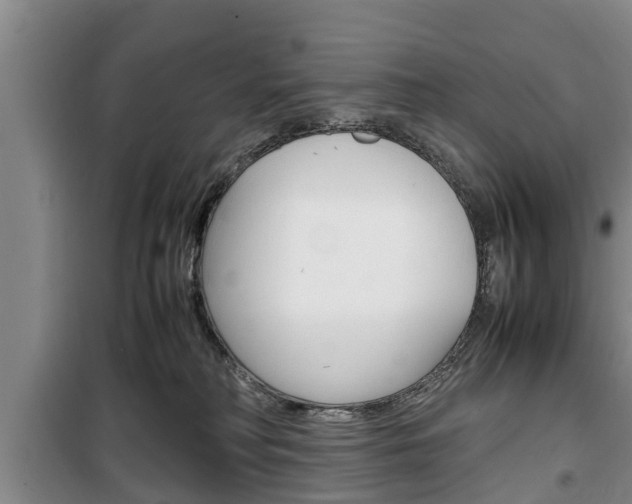 X0000100350230200806060807