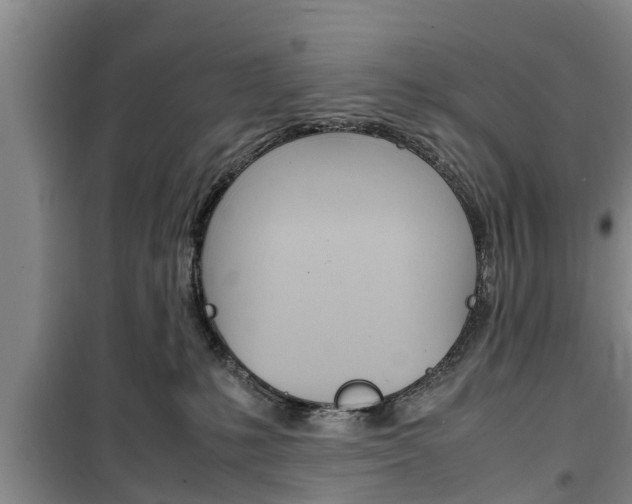 X0000100350231200806060807