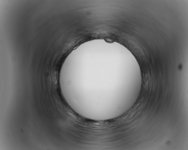 X0000100350232200806060807