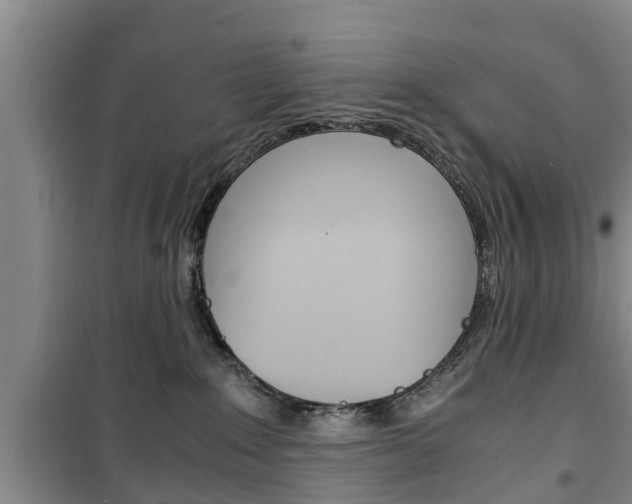 X0000100350235200806060807