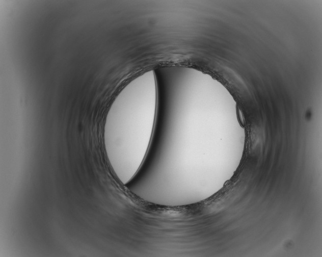 X0000100350236200806060807