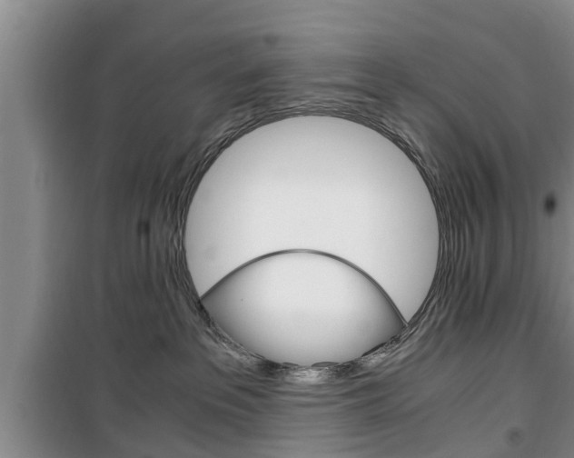 X0000100350237200806060807