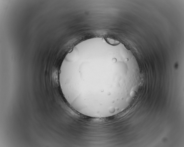 X0000100350238200806060807