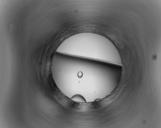 X0000100350240200806060807