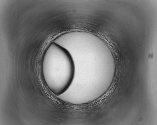 X0000100350241200806060806