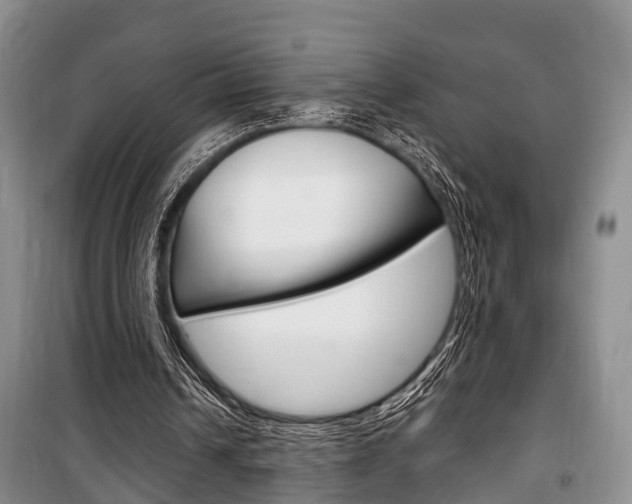 X0000100350242200806060806