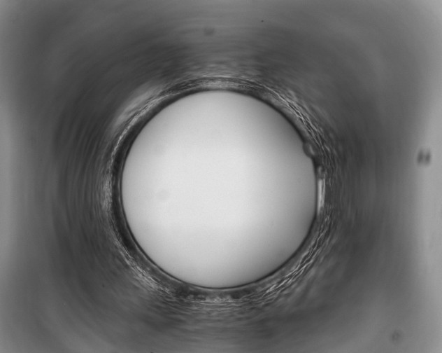 X0000100350243200806060806