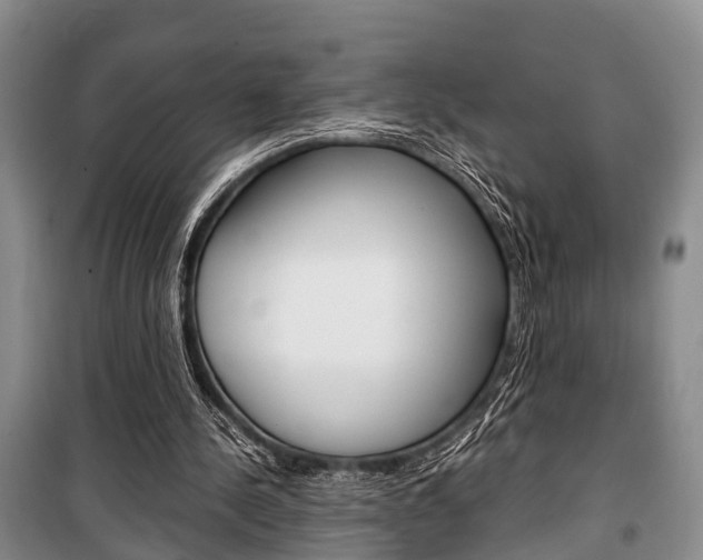 X0000100350244200806060806