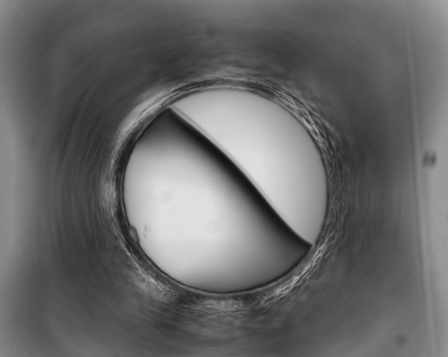 X0000100350245200806060806