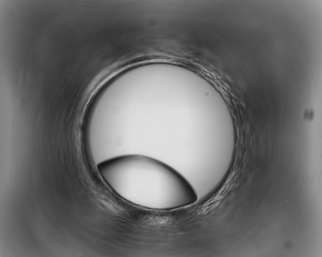 X0000100350247200806060806