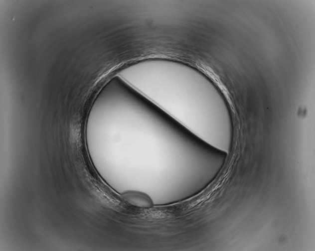 X0000100350249200806060806