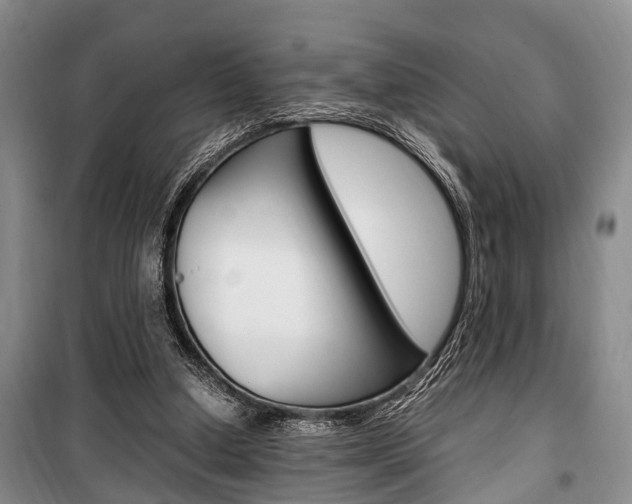 X0000100350250200806060806