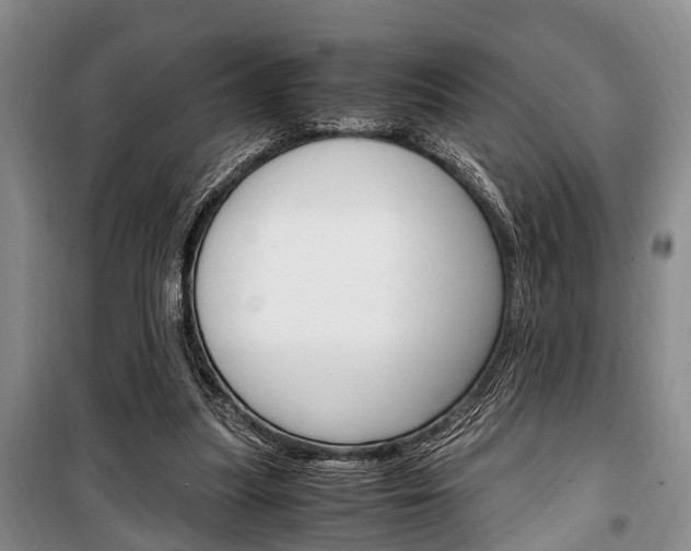 X0000100350251200806060806