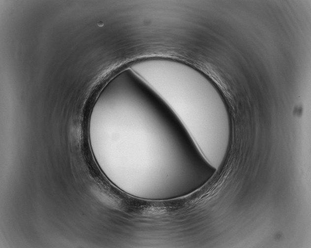 X0000100350252200806060806