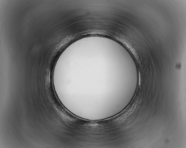 X0000100350253200806060807