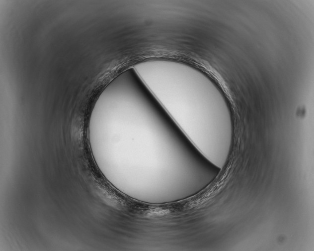 X0000100350257200806060807