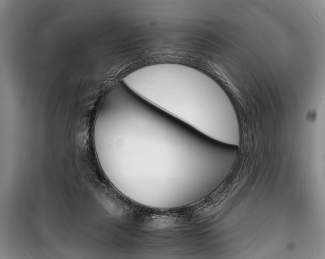 X0000100350259200806060807