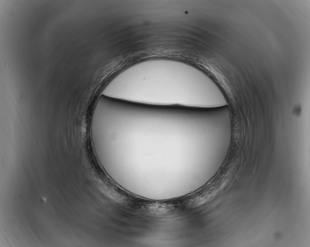 X0000100350261200806060807
