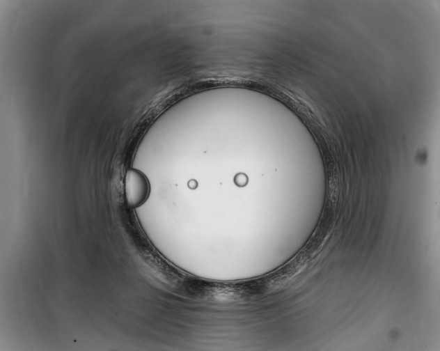 X0000100350264200806060807