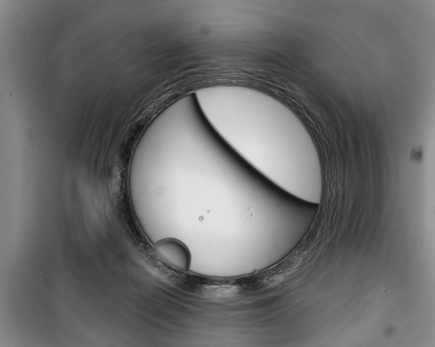 X0000100350266200806060807