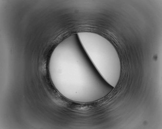 X0000100350267200806060807