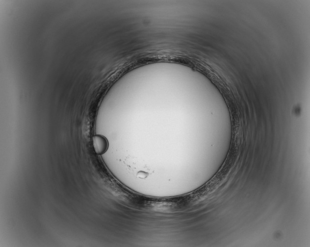 X0000100350268200806060807
