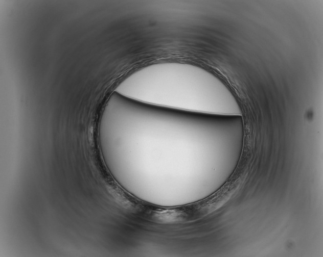 X0000100350269200806060807