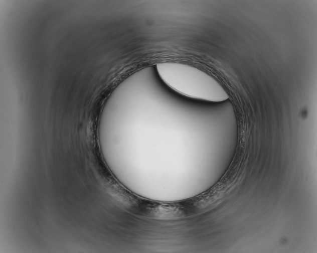 X0000100350270200806060807
