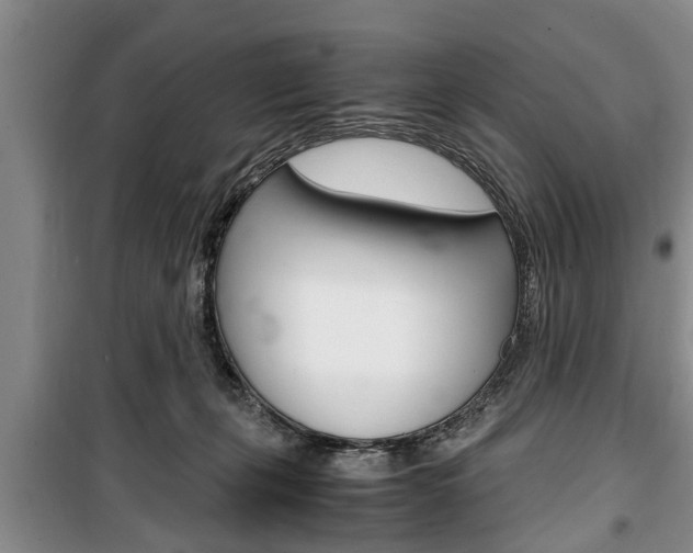 X0000100350271200806060807