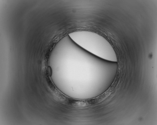 X0000100350272200806060807