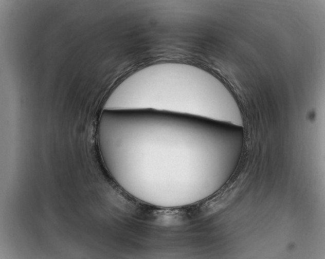 X0000100350273200806060807