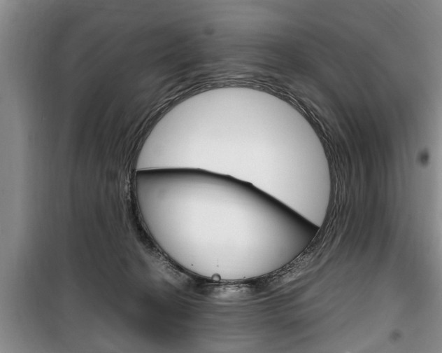 X0000100350274200806060807