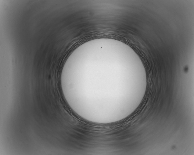 X0000100350276200806060807
