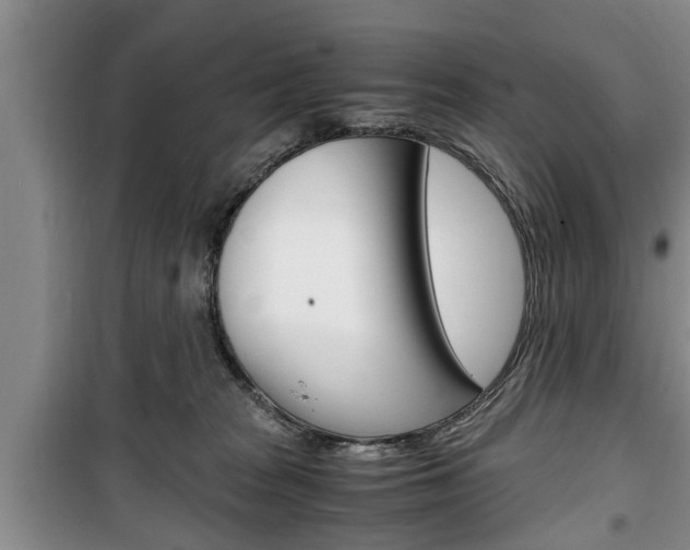 X0000100350277200806060807