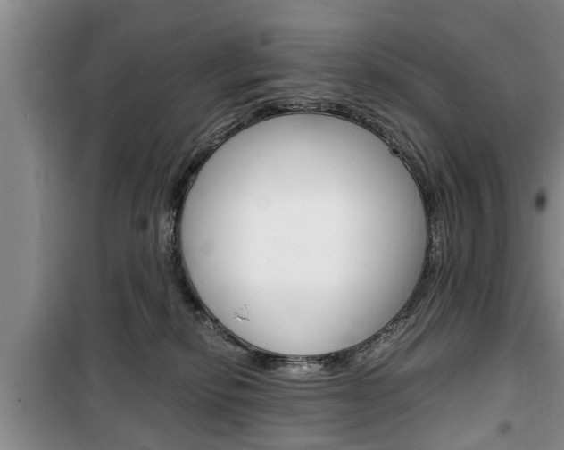 X0000100350278200806060807