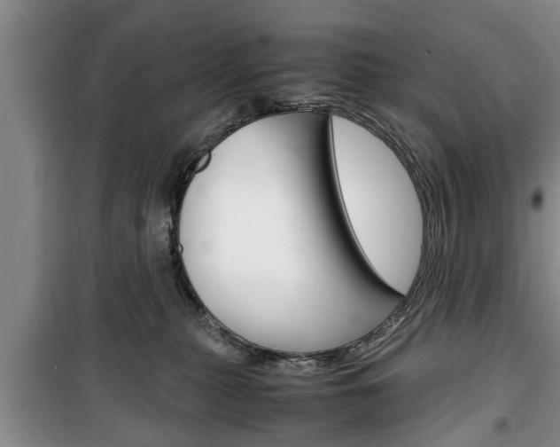X0000100350279200806060807