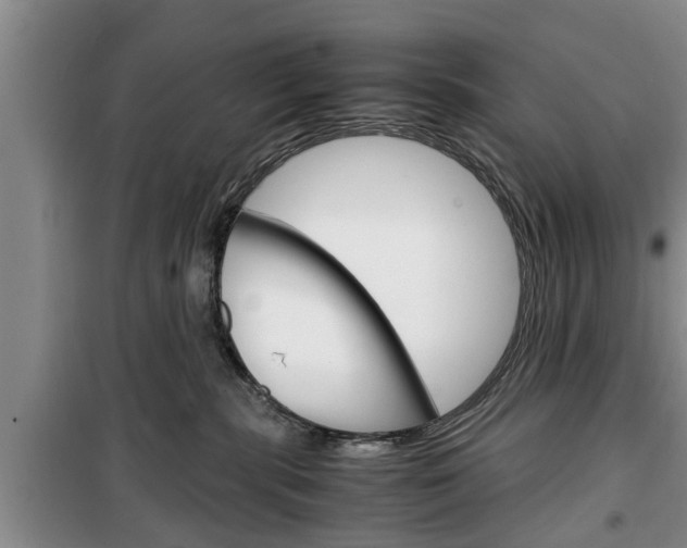 X0000100350283200806060807