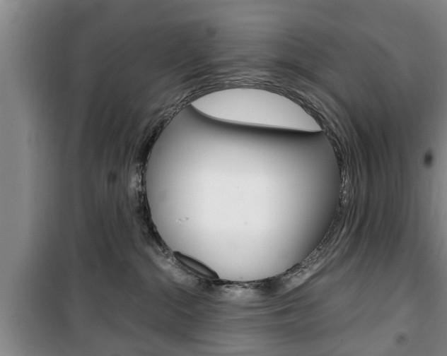 X0000100350284200806060807